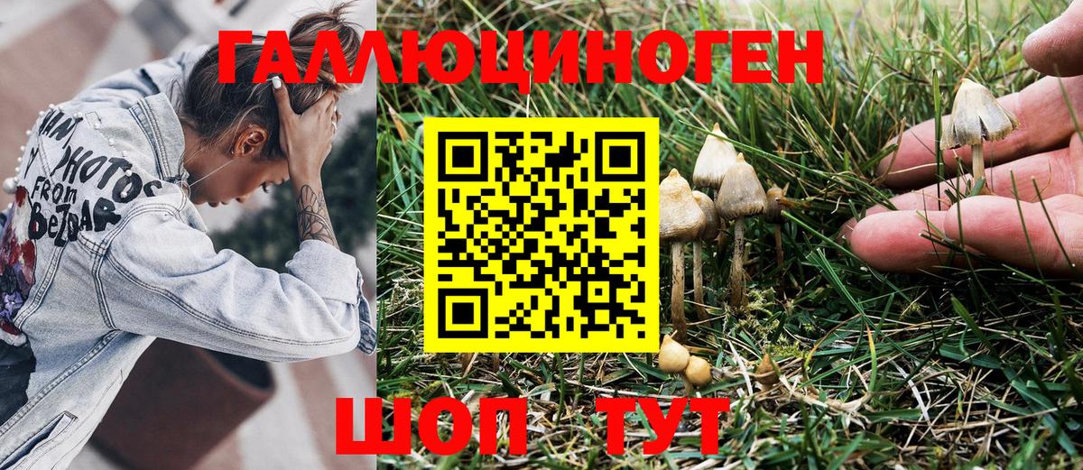 Галлюциногенные грибы Psilocybine cubensis  Вход с VPN  Кумертау 